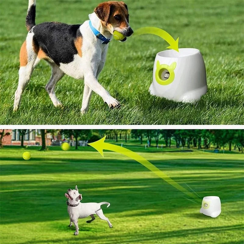 Automatic Dog Ball Launcher | Tennis Ball Thrower For Medium/Large Dogs | Interactive Fetch Toy With Smart Timer Function