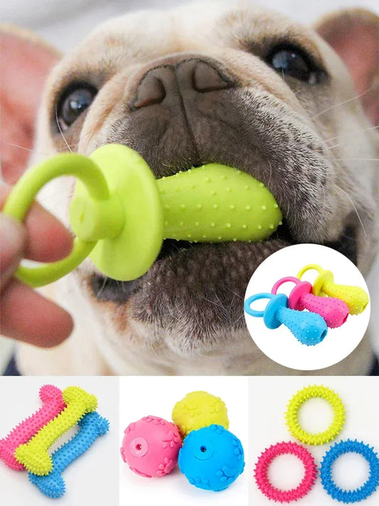 Small Dog Training Toy