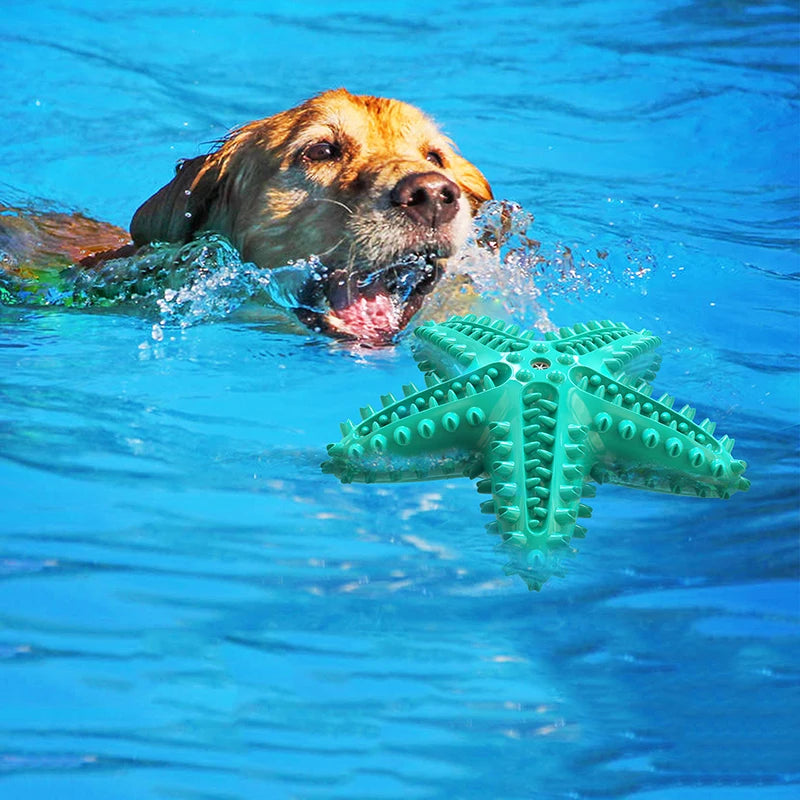 Starfish Dog Chew Toy