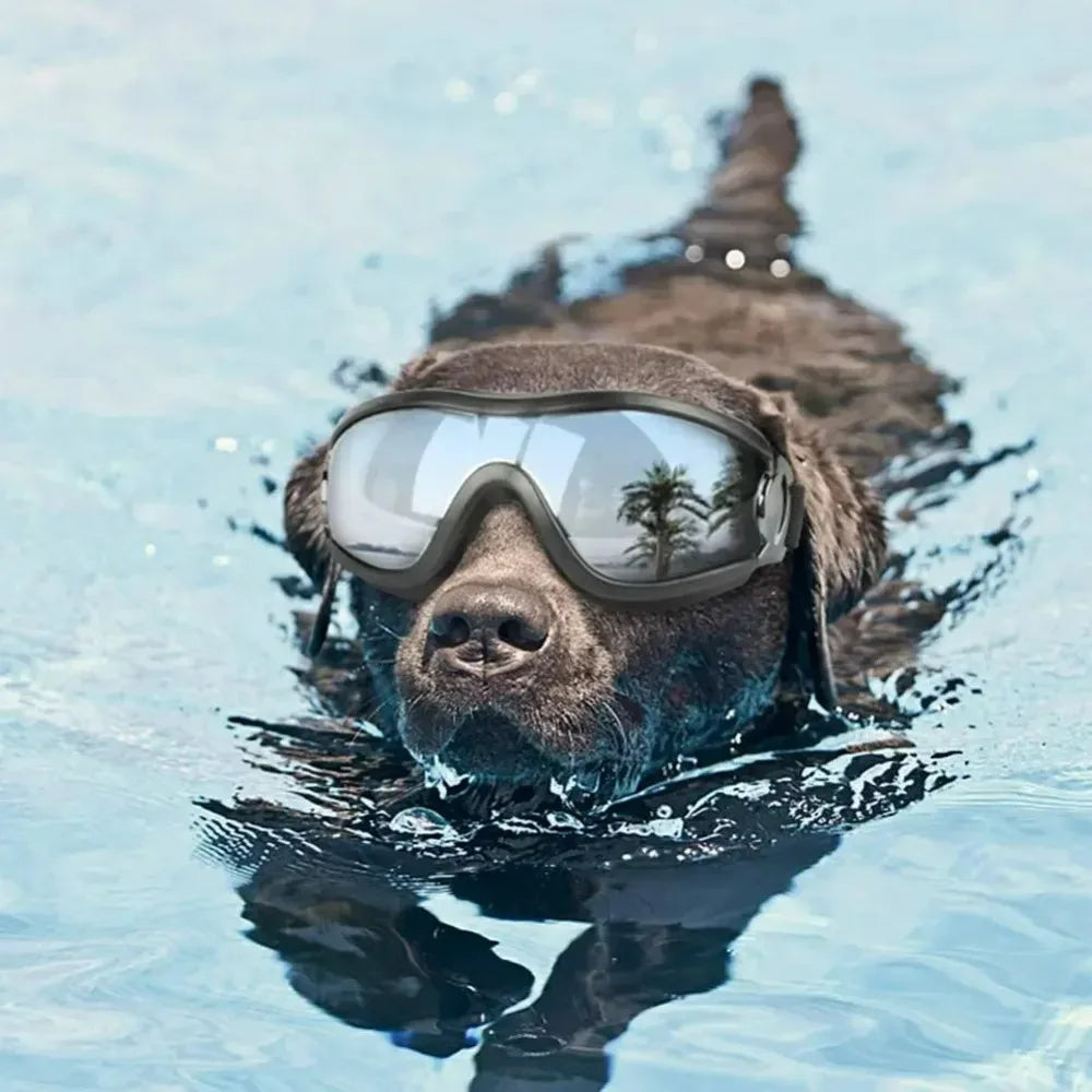 Pet Dog Sunglasses