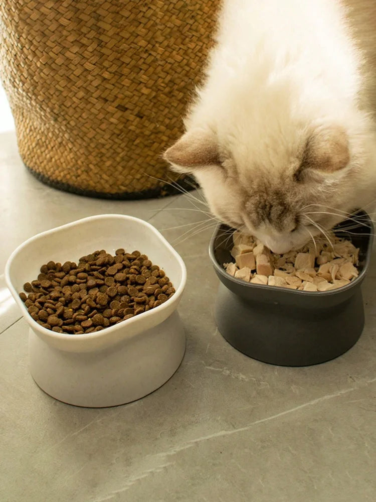 Pet Food & Water Bowl