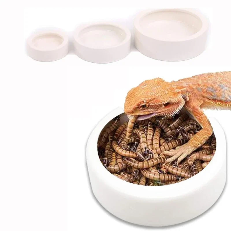 Cat & Dog Waterer Bowl