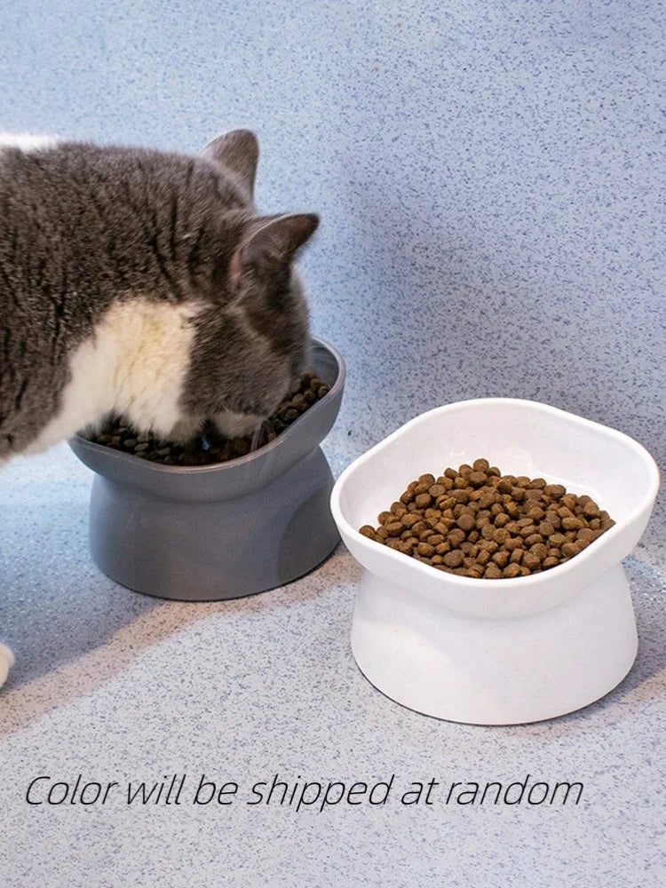 Pet Food & Water Bowl