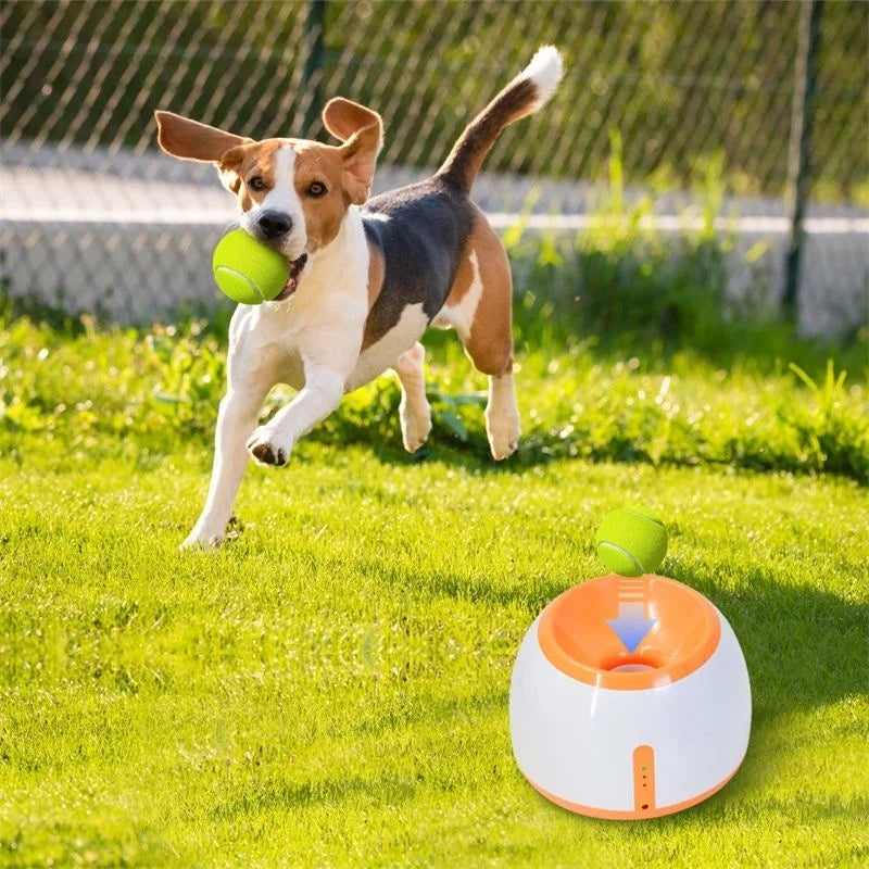 Automatic Dog Ball Launcher | Tennis Ball Thrower For Medium/Large Dogs | Interactive Fetch Toy With Smart Timer Function