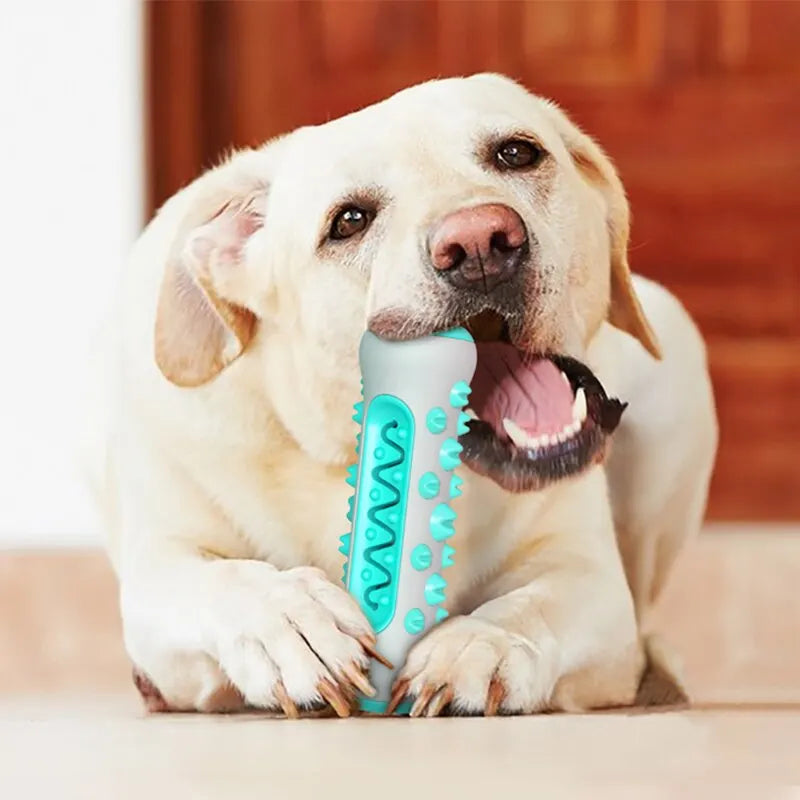 Puppy Teething Chew Stick