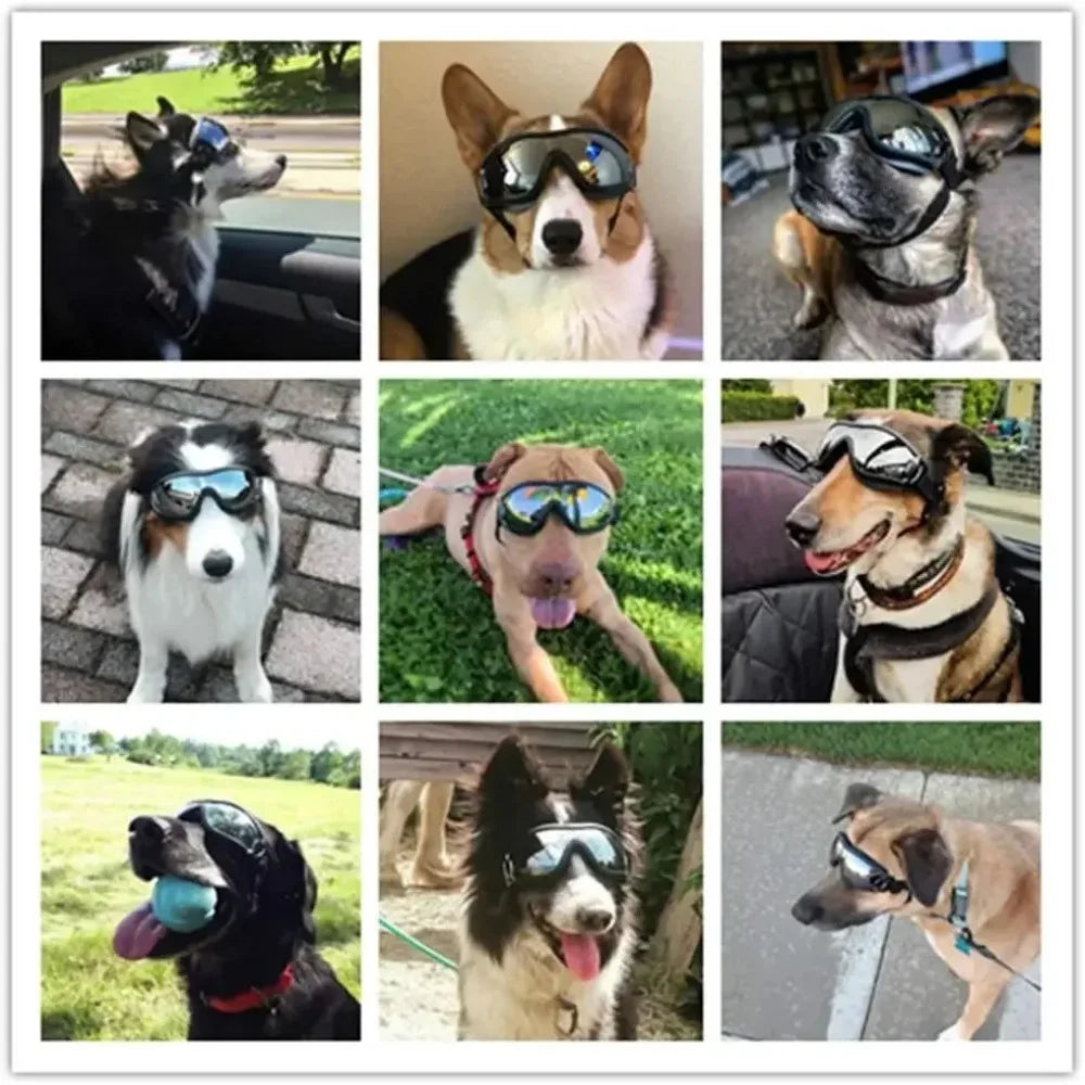 Pet Dog Sunglasses