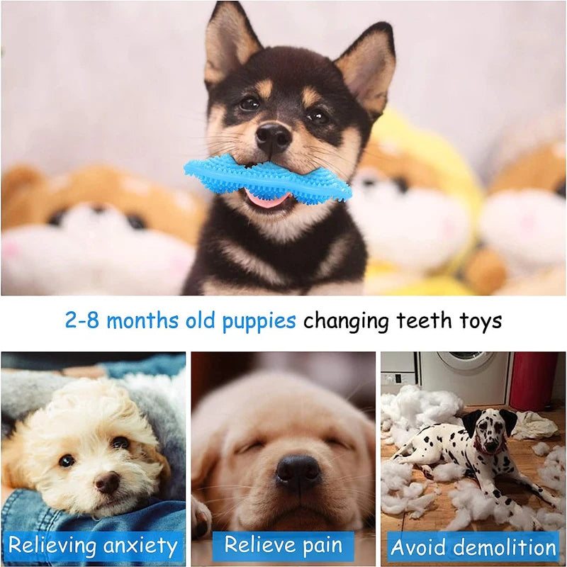 Dog Molar Cleaning Toy