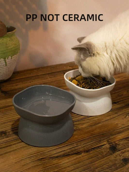 Pet Food & Water Bowl