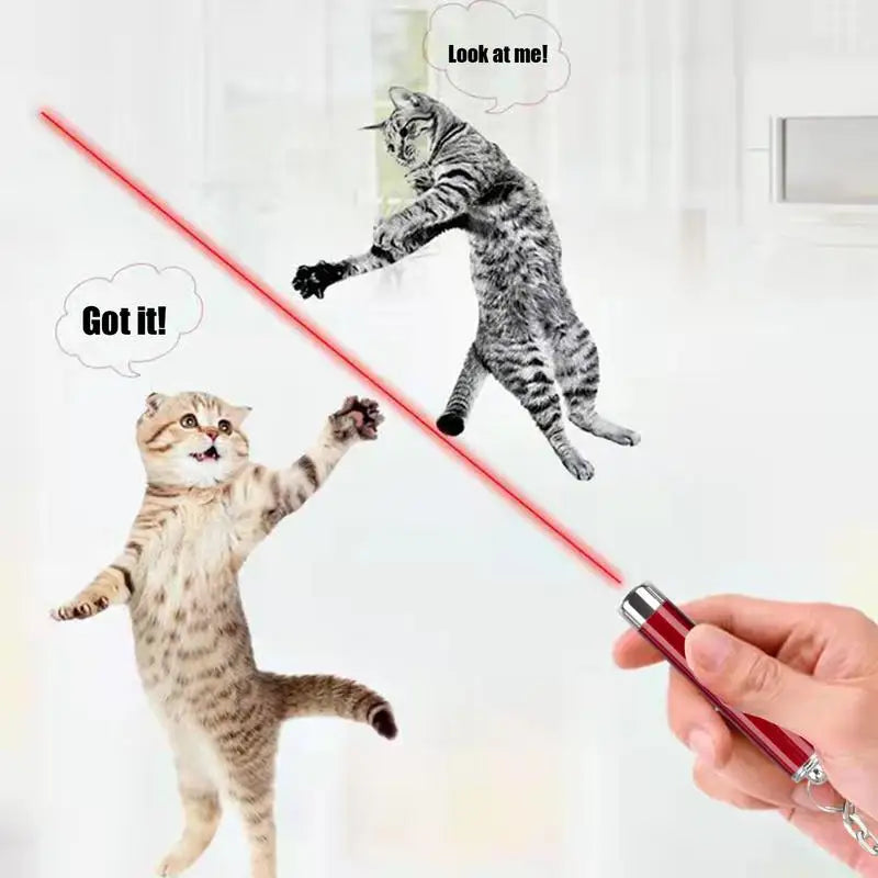 Cat Laser Pointer Toy