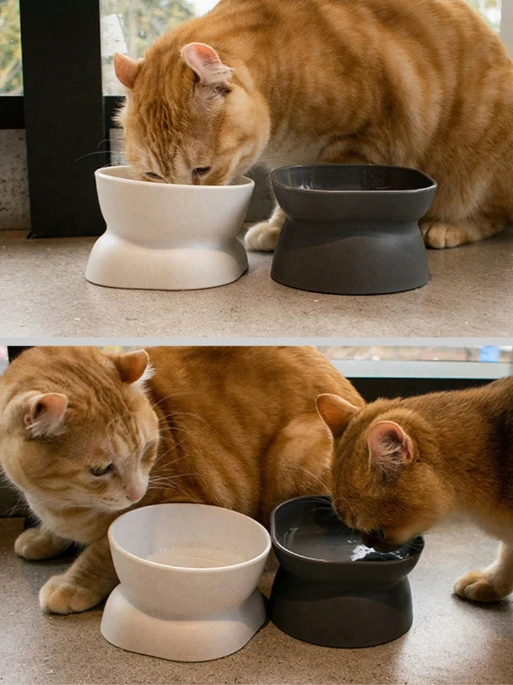 Pet Food & Water Bowl