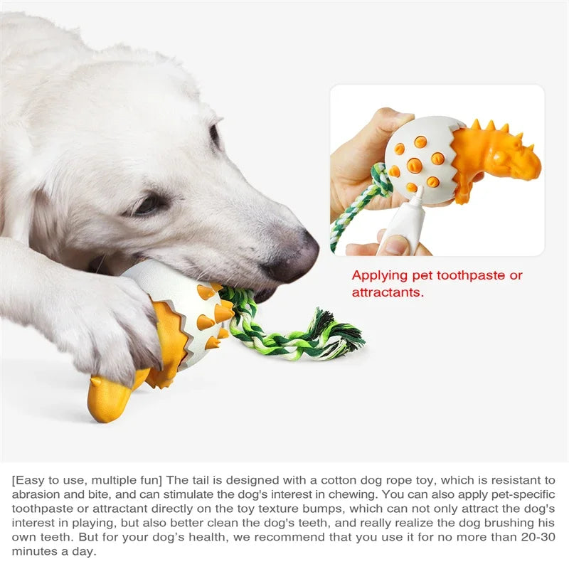 Dinosaur Egg Dog Chew Toy