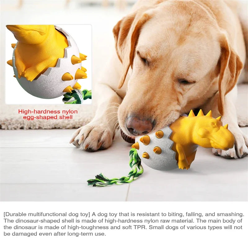 Dinosaur Egg Dog Chew Toy