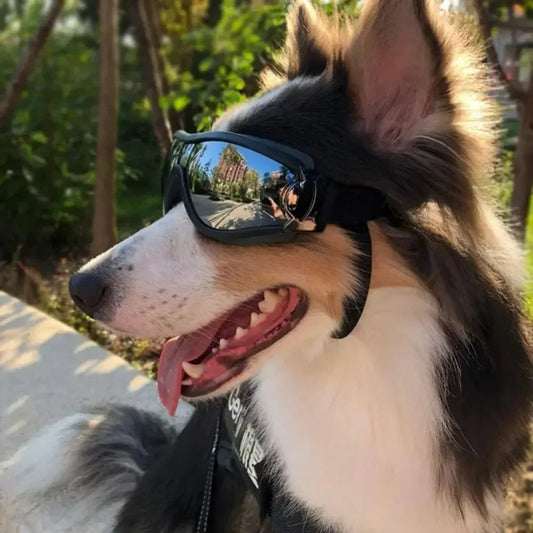 Pet Dog Sunglasses