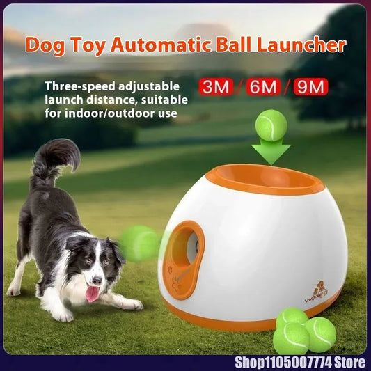 Automatic Dog Ball Launcher | Tennis Ball Thrower For Medium/Large Dogs | Interactive Fetch Toy With Smart Timer Function